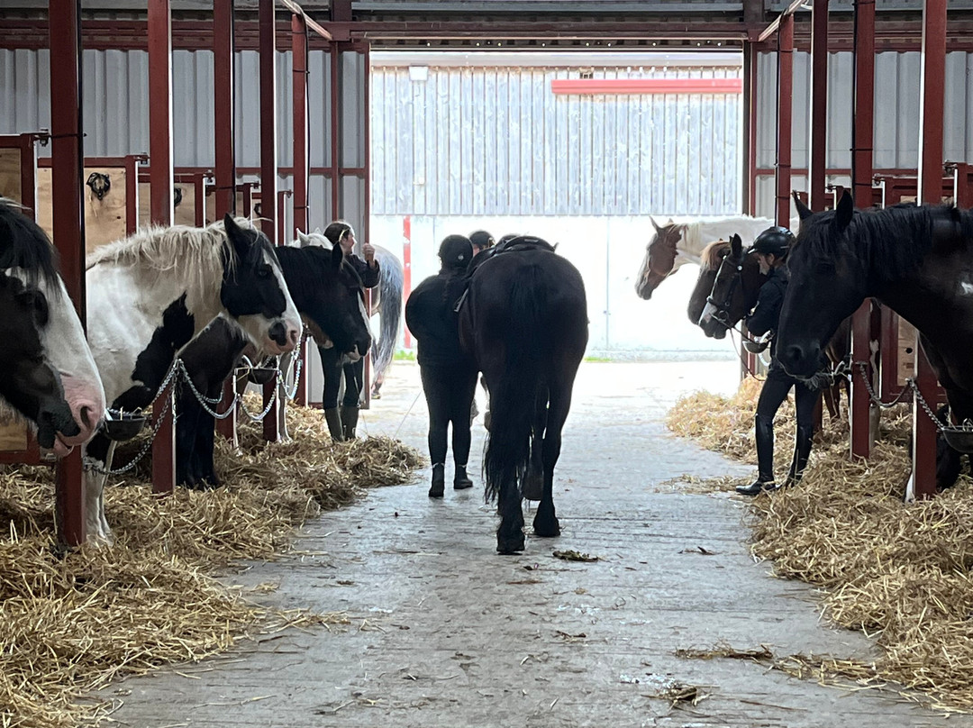 Annaharvey Farm Equestrian Centre-Tullamore必去景点