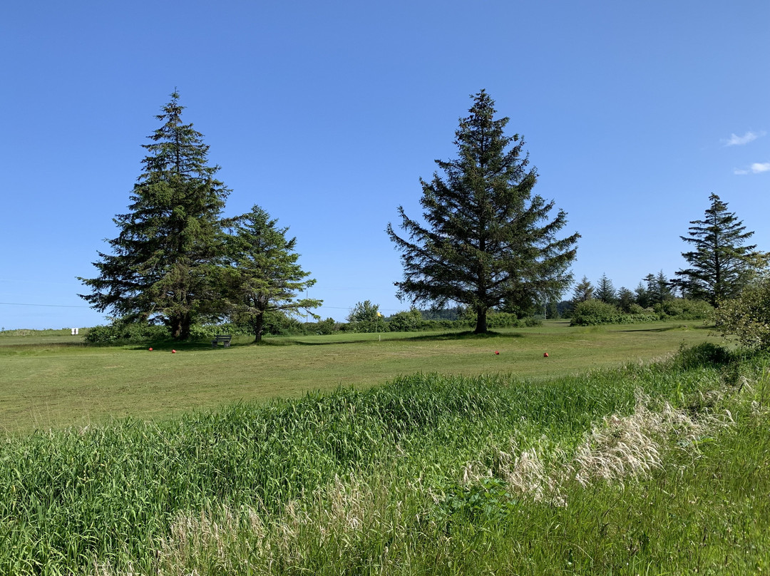 The Willows Golf Course-Sandspit必去景点
