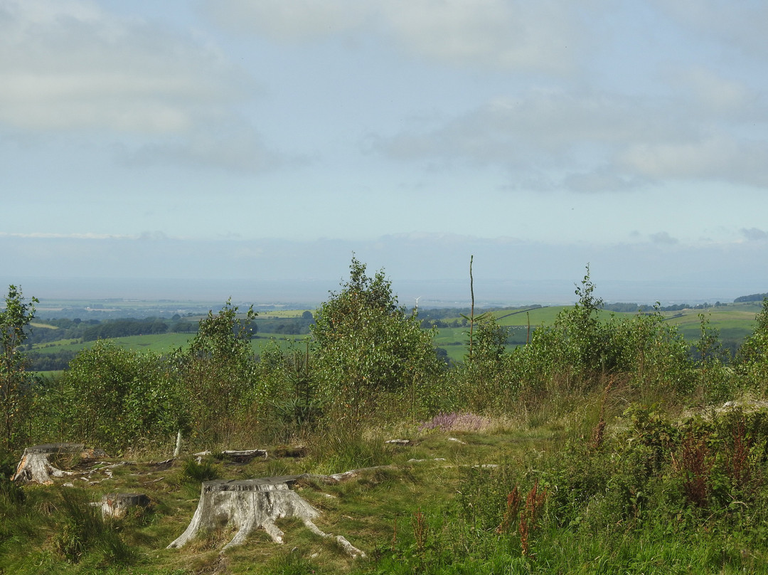 Beacon Fell Country Park-Goosnargh必去景点