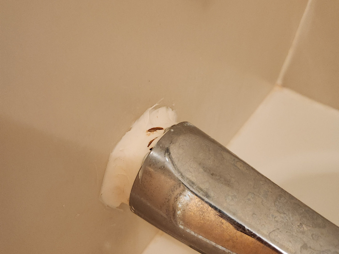 Hampton Inn & Suites Kalamazoo/oshtemo主图