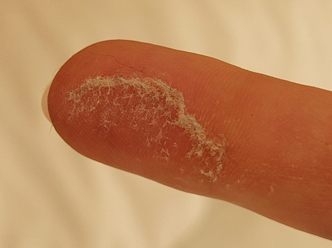 Old Windmill Studios主图