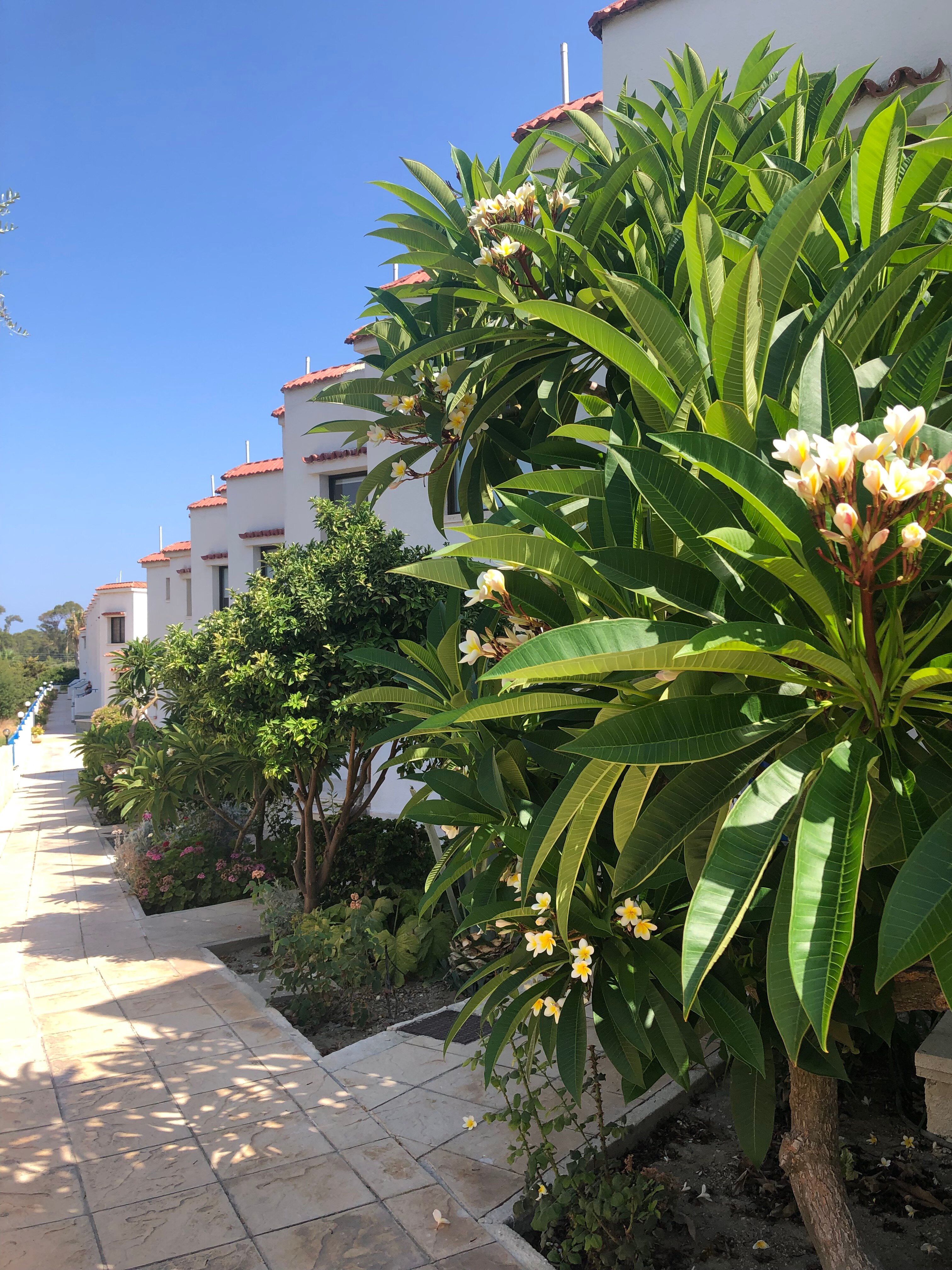 Bougainvillea Hotel Apartments-浴室