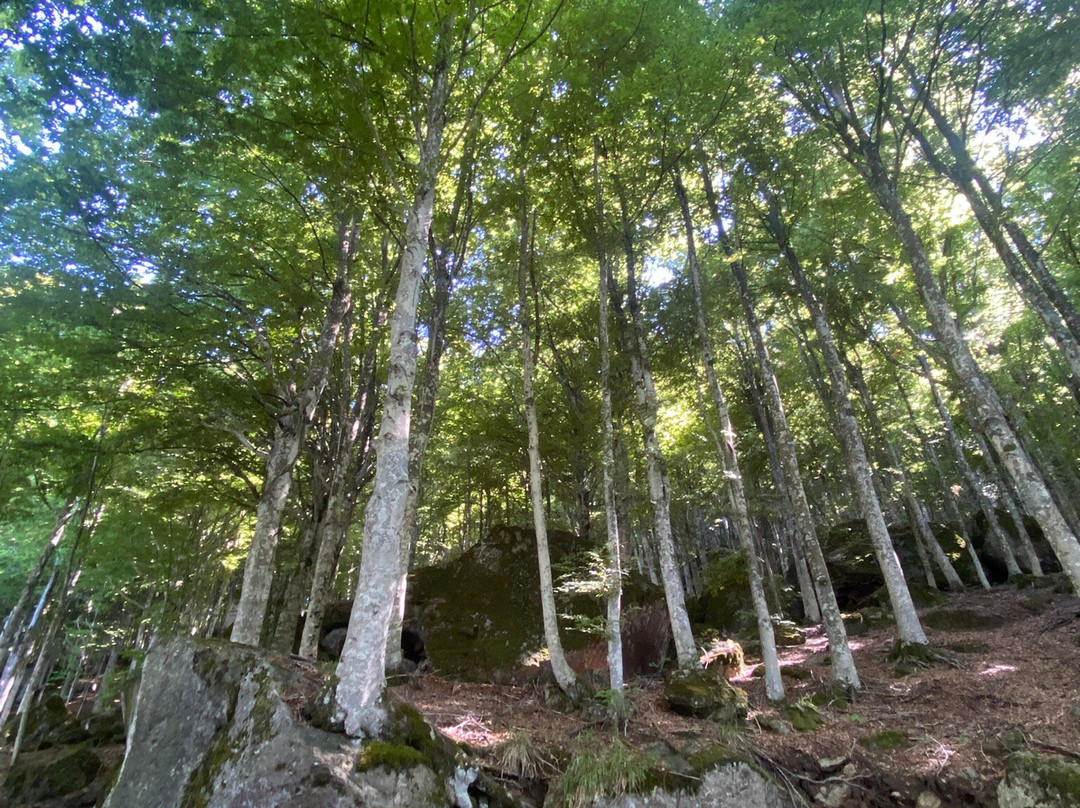 Albergo Generale Cantore主图