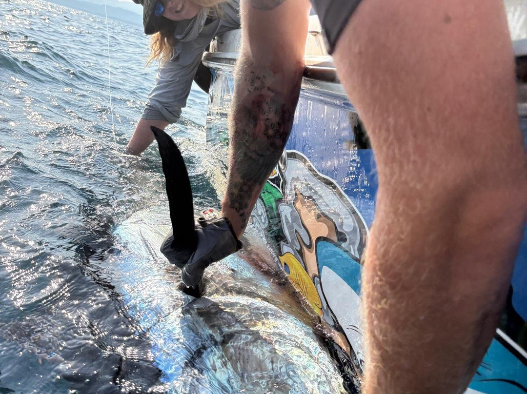 Green Flake Tackle-Riumar必去景点