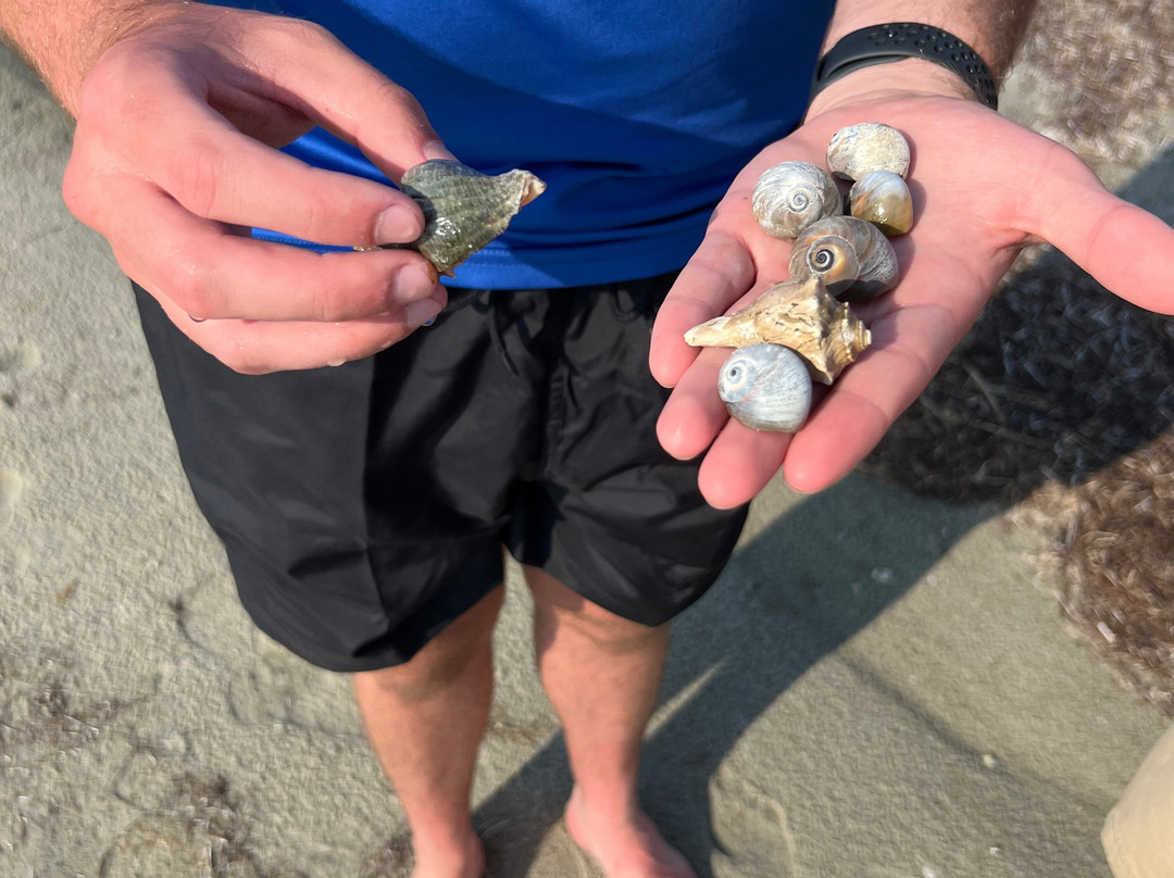 Kitty Hawk Kites - Nags Head-纳格斯海德必去景点