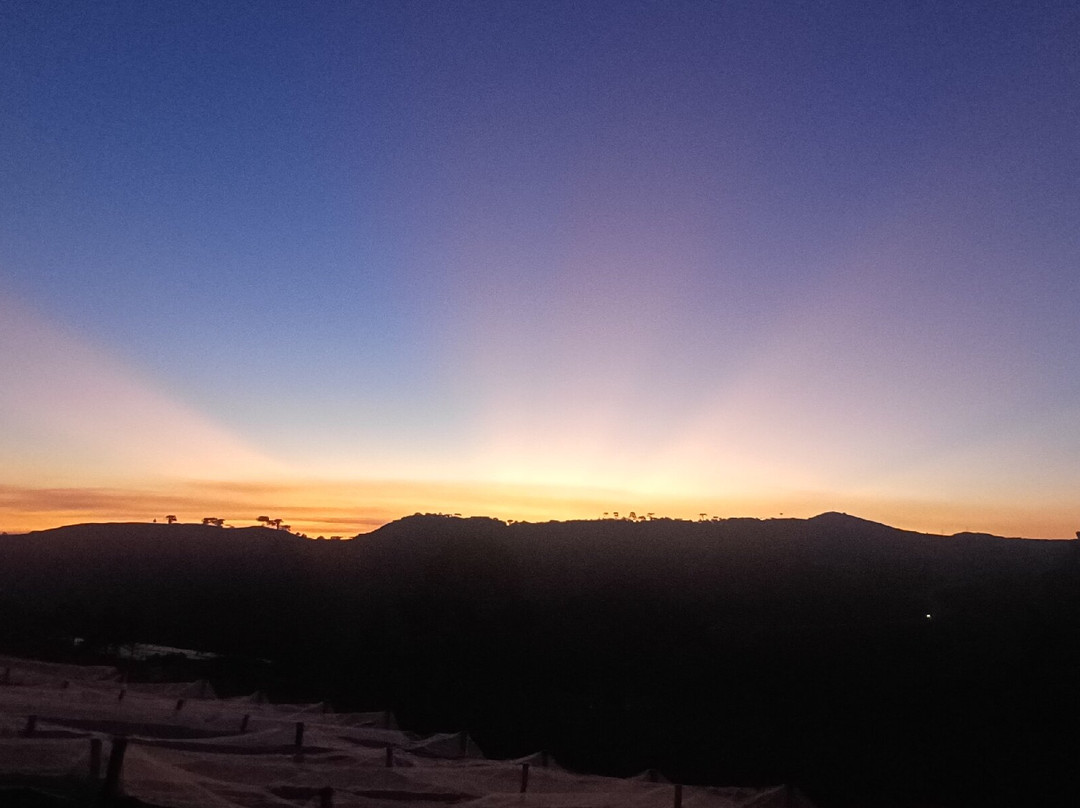 Vinhedos do Monte Agudo-Sao Joaquim必去景点