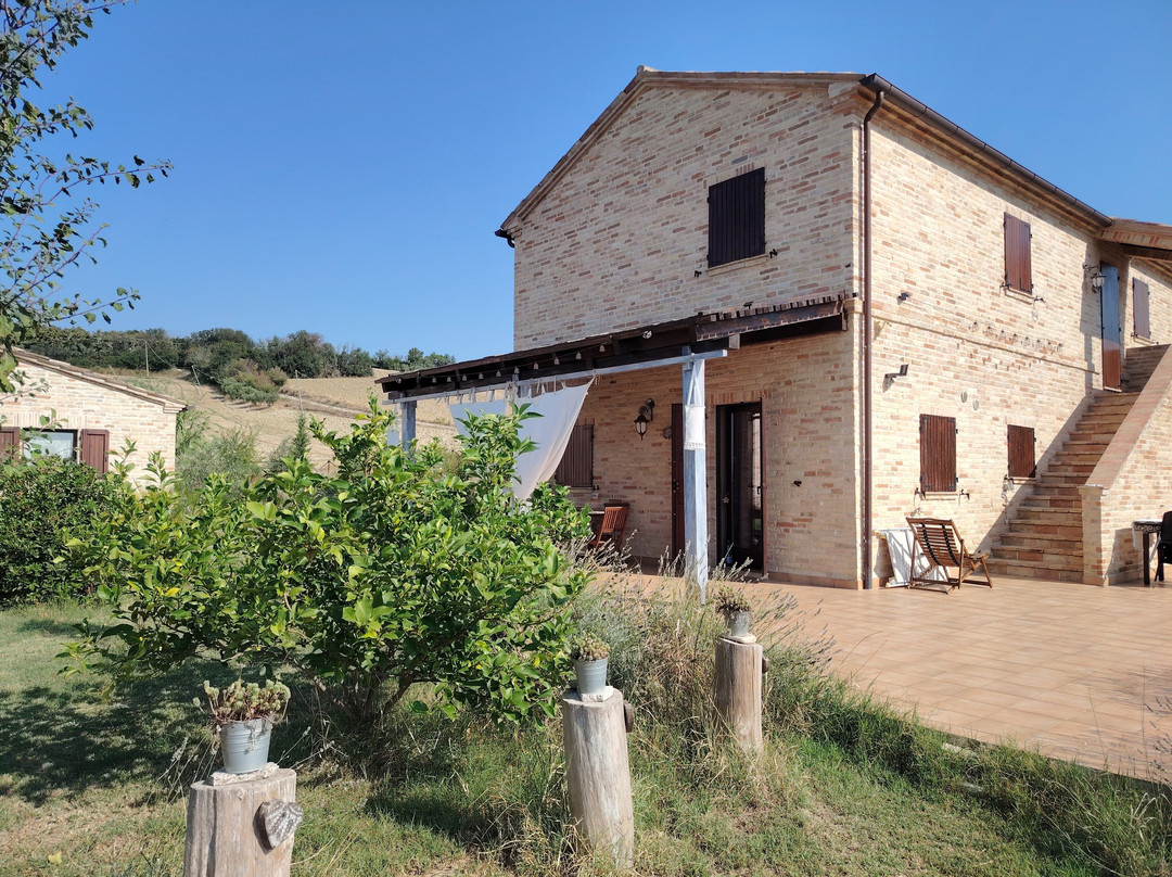 Poggio delle Lavande