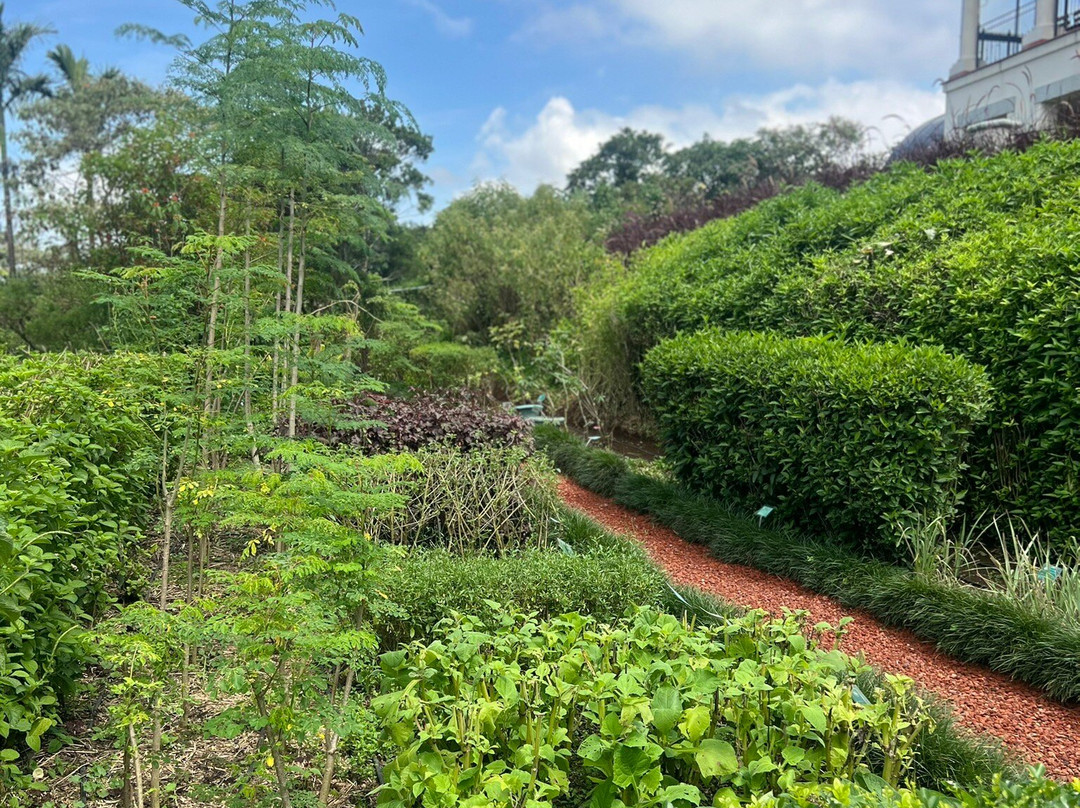 El Arca Jardín Botánico-Santa Barbara必去景点