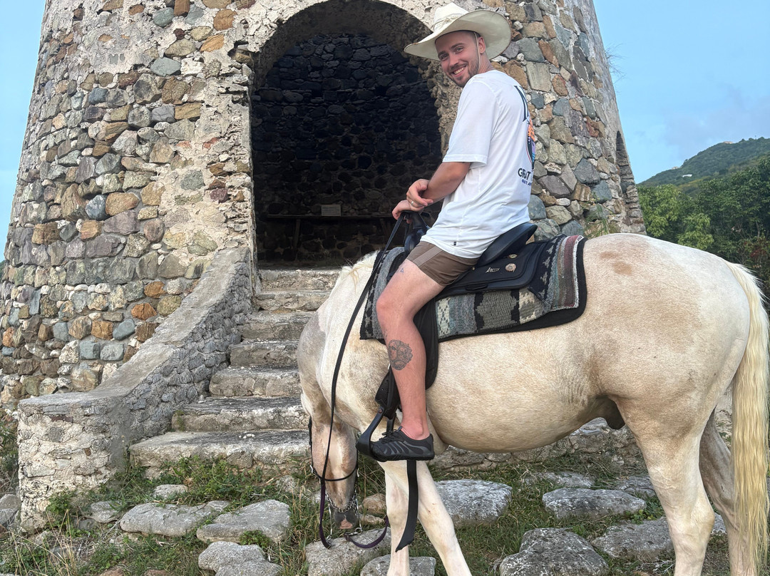 Equus Rides Horseback Riding St. Croix-Frederiksted必去景点