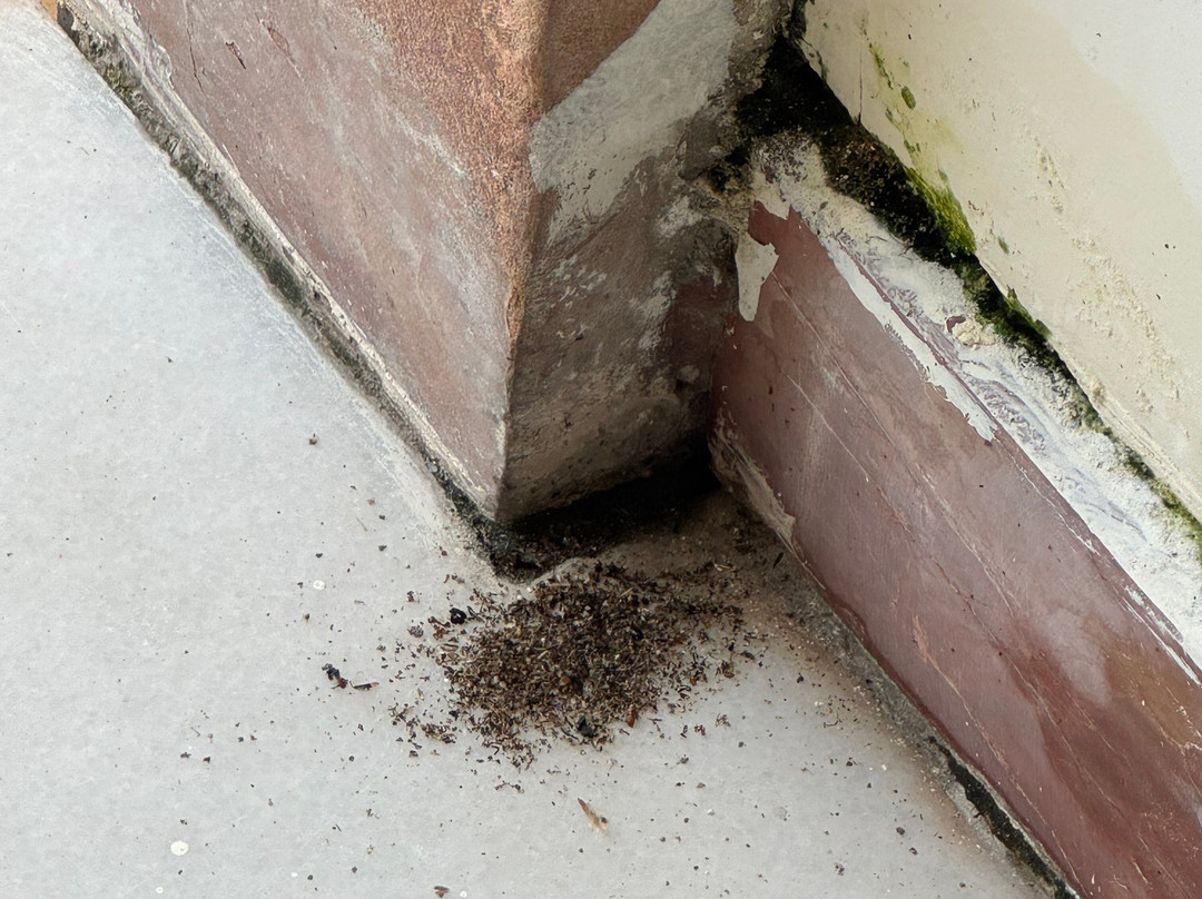 Shri Vallabh Vilas Lords Plaza主图