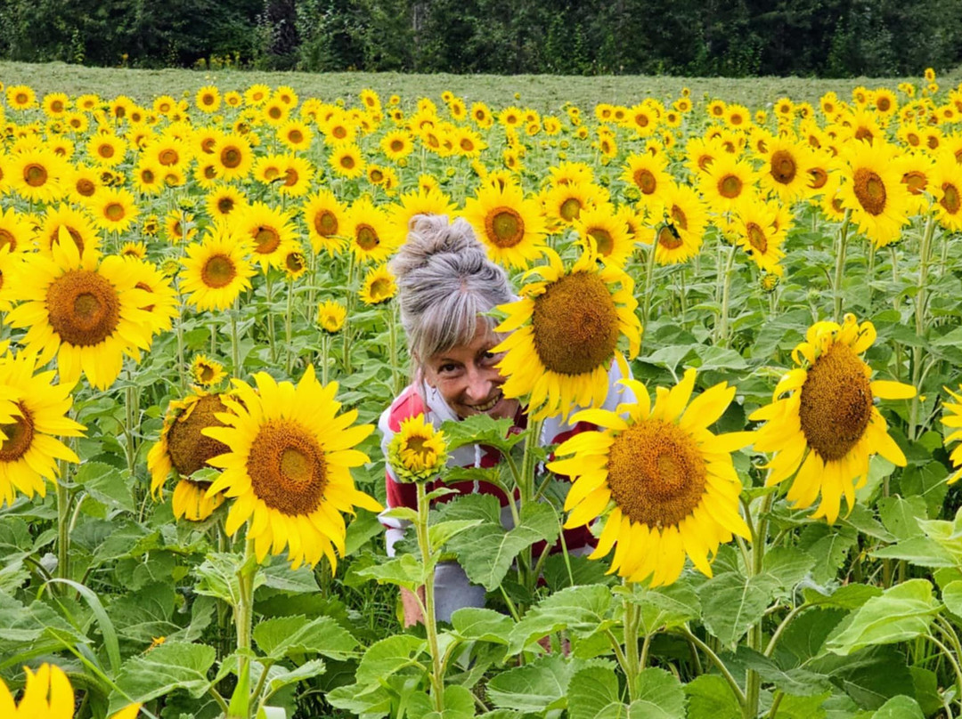 Domaine & Vins Gelinas-Saint-Severe必去景点