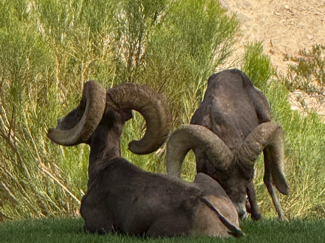 Hemenway Park-博尔德城必去景点