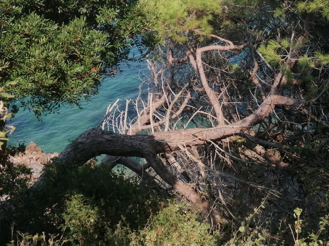 Villa Flora Argentario主图