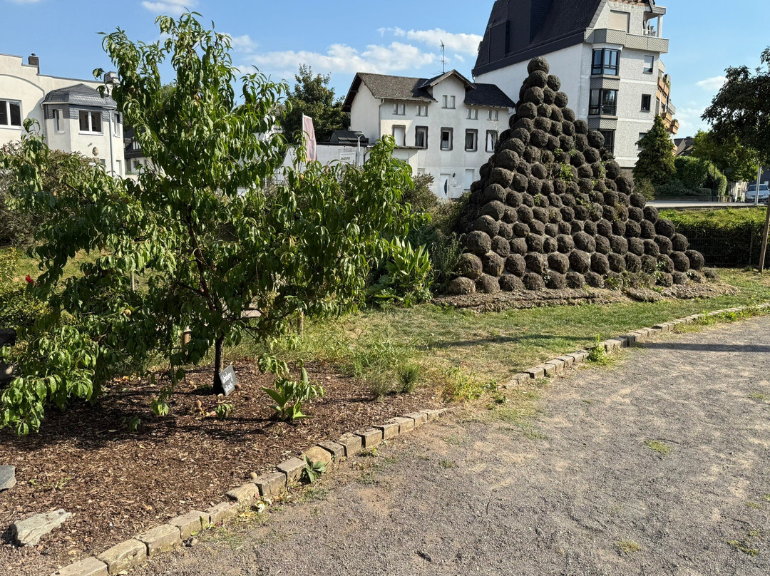 Stadtburg-安德纳赫必去景点