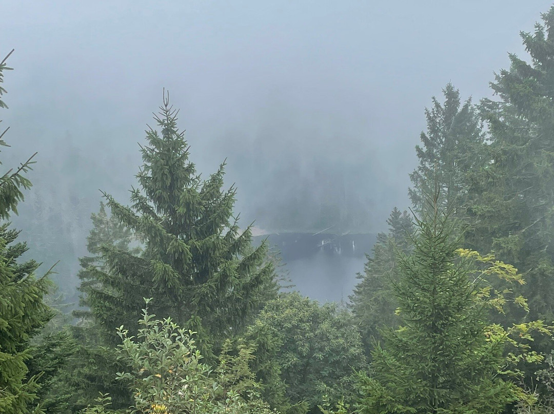 Berghof Gruner Baum主图