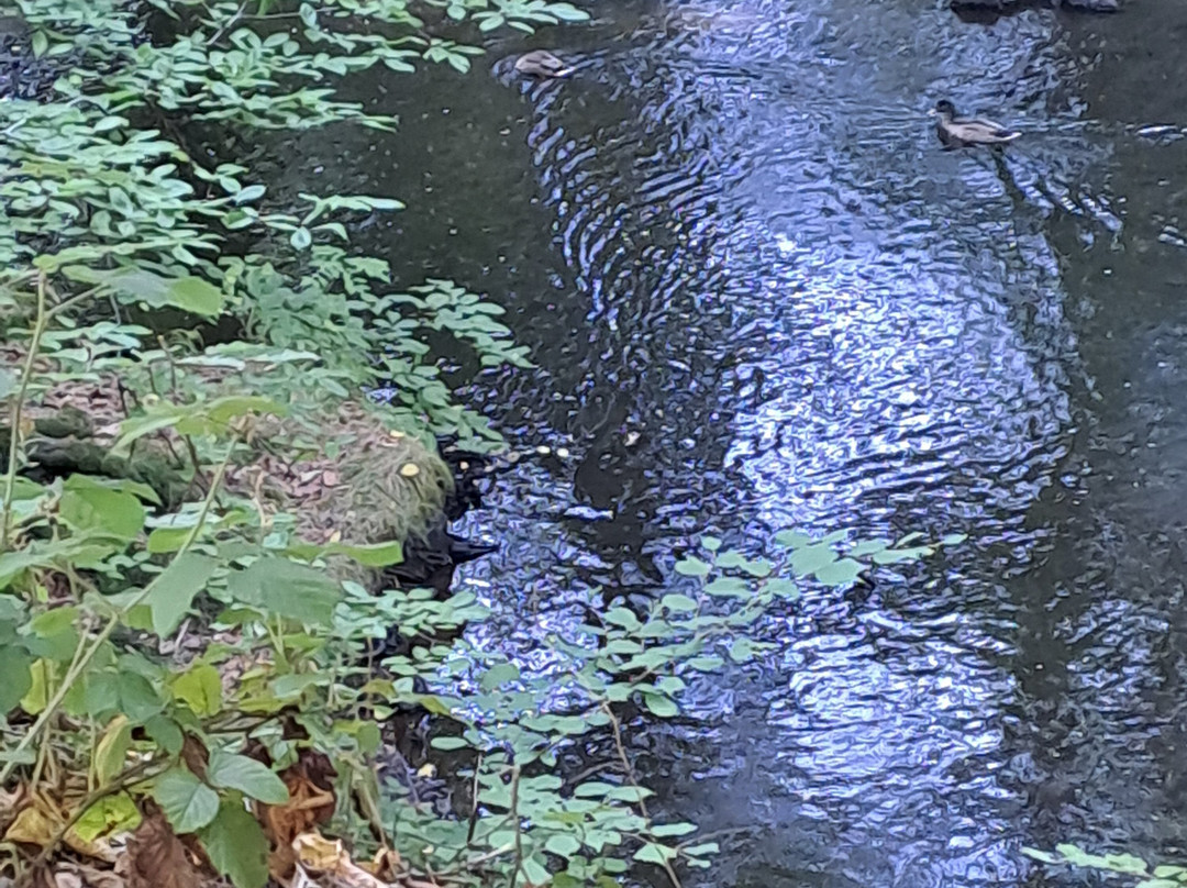 Cascade de Blangy-Hirson必去景点