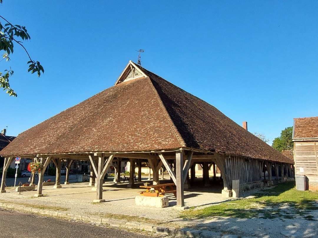 翘鼻麻鸭之家酒店主图