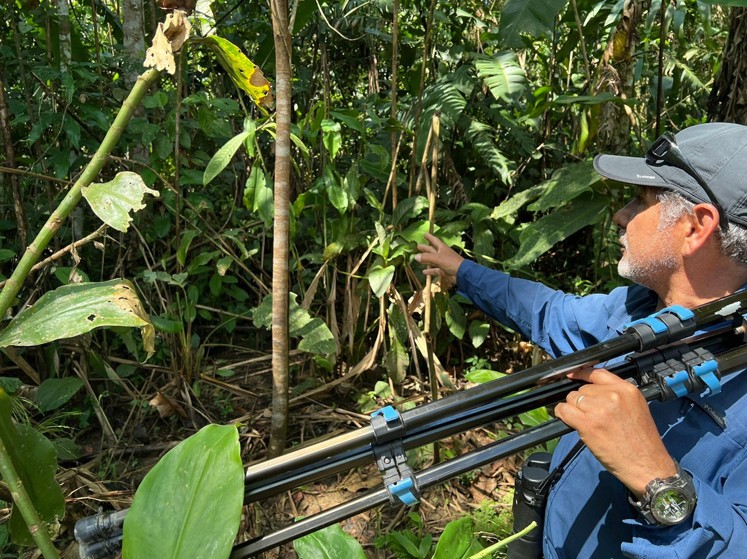 Pantiacolla Tours-Atalaya必去景点