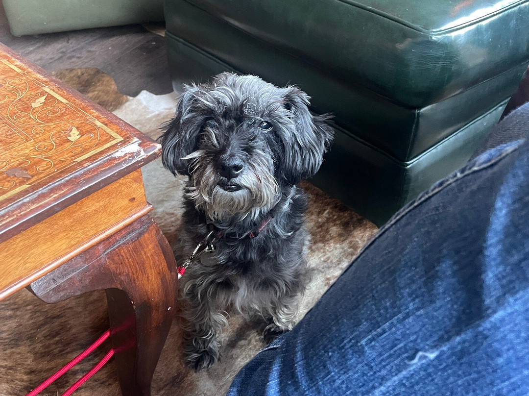 Harbour Bar, Gourdon-Montrose必去景点