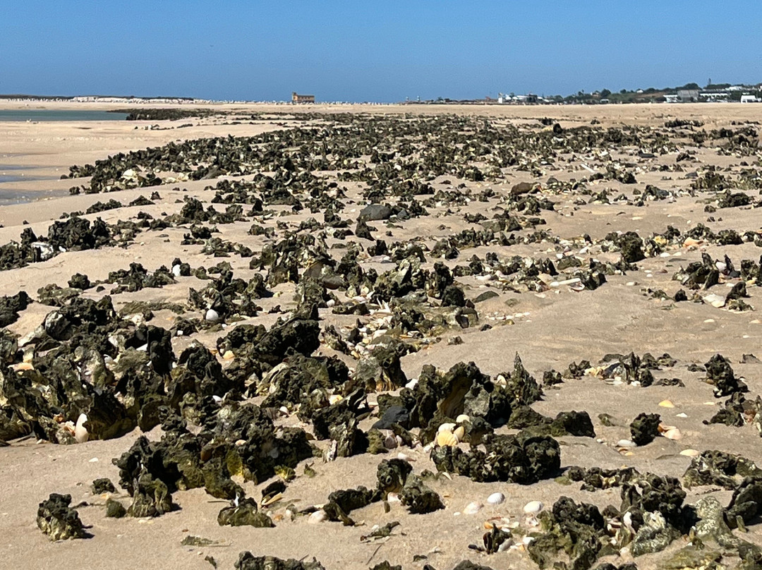 Kite Culture Algarve-Fuseta必去景点