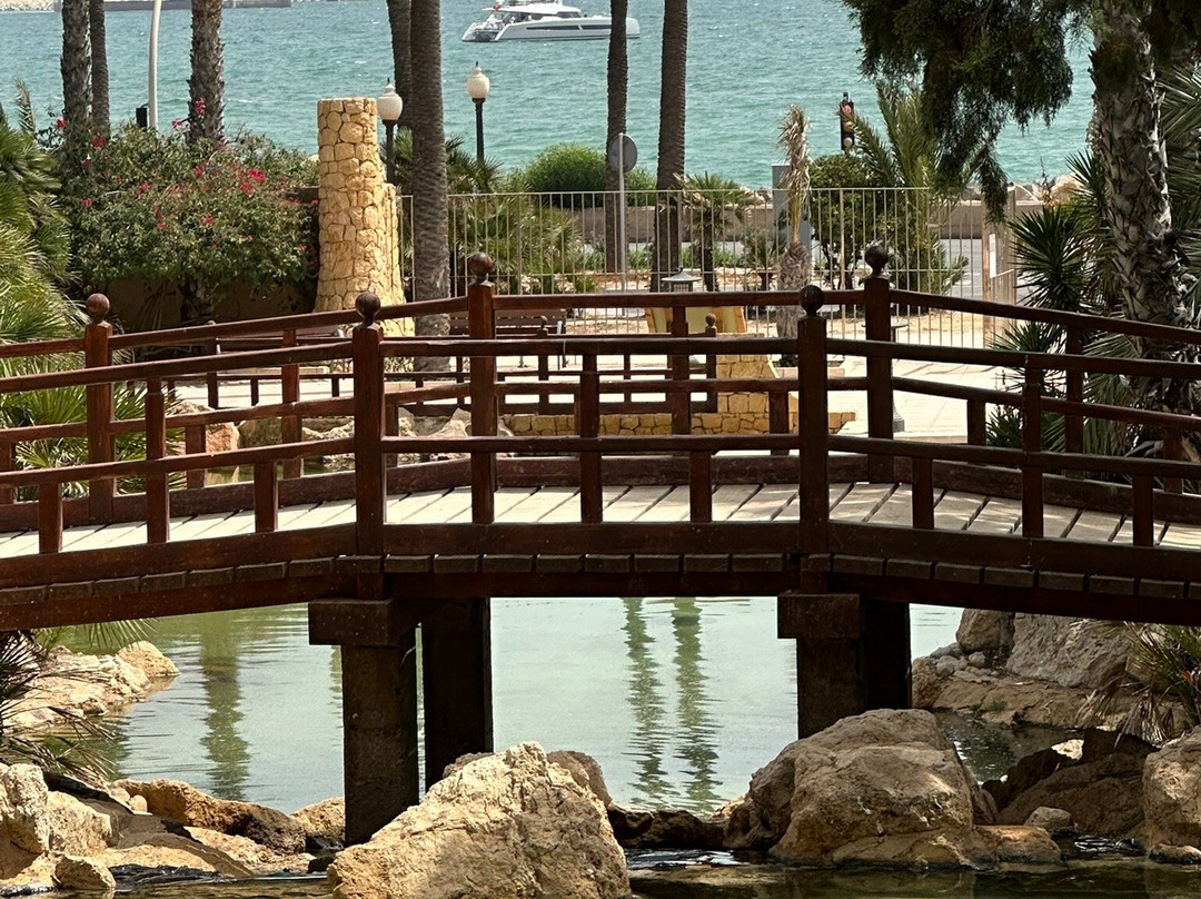 Parque El Palmeral-阿利坎特省必去景点