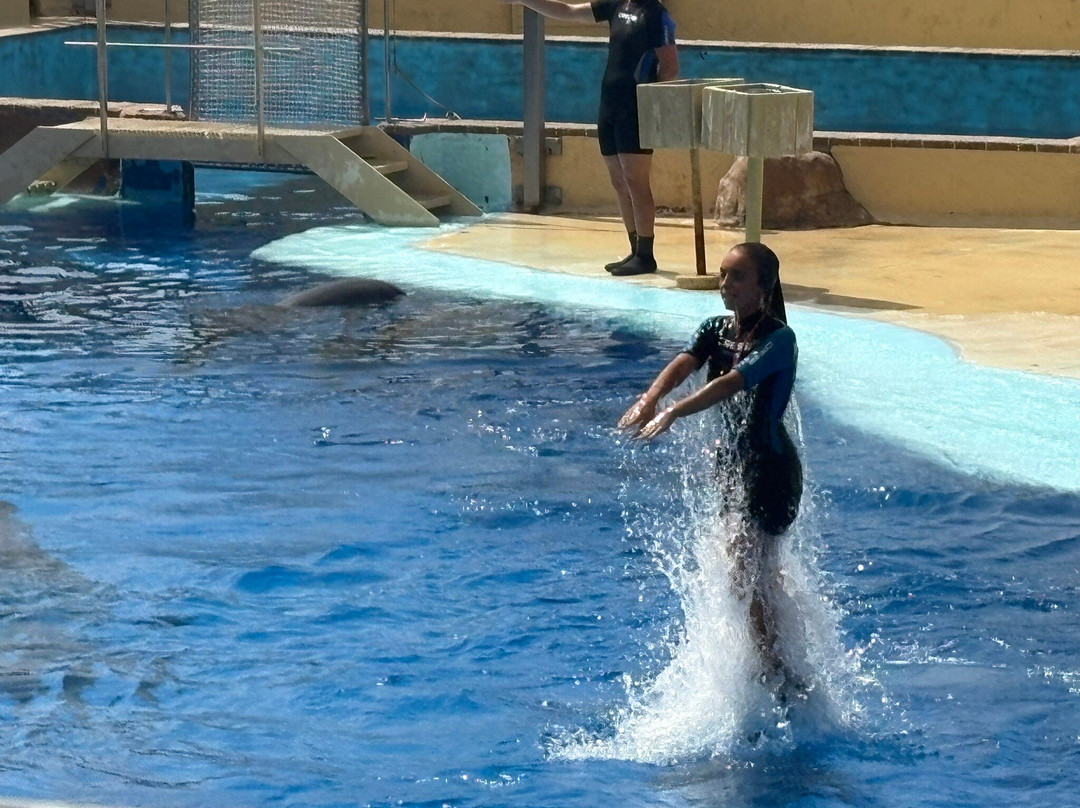Marineland Catalunya-Palafolls必去景点