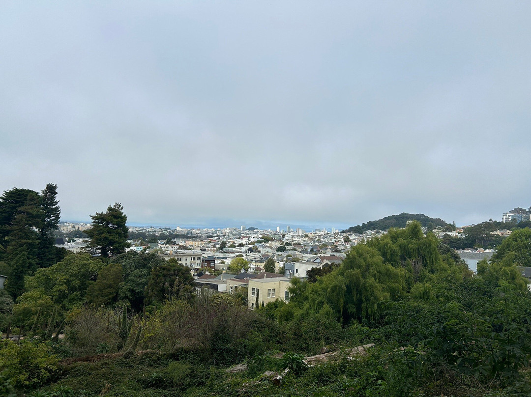 Mount Sutro Forest-旧金山必去景点