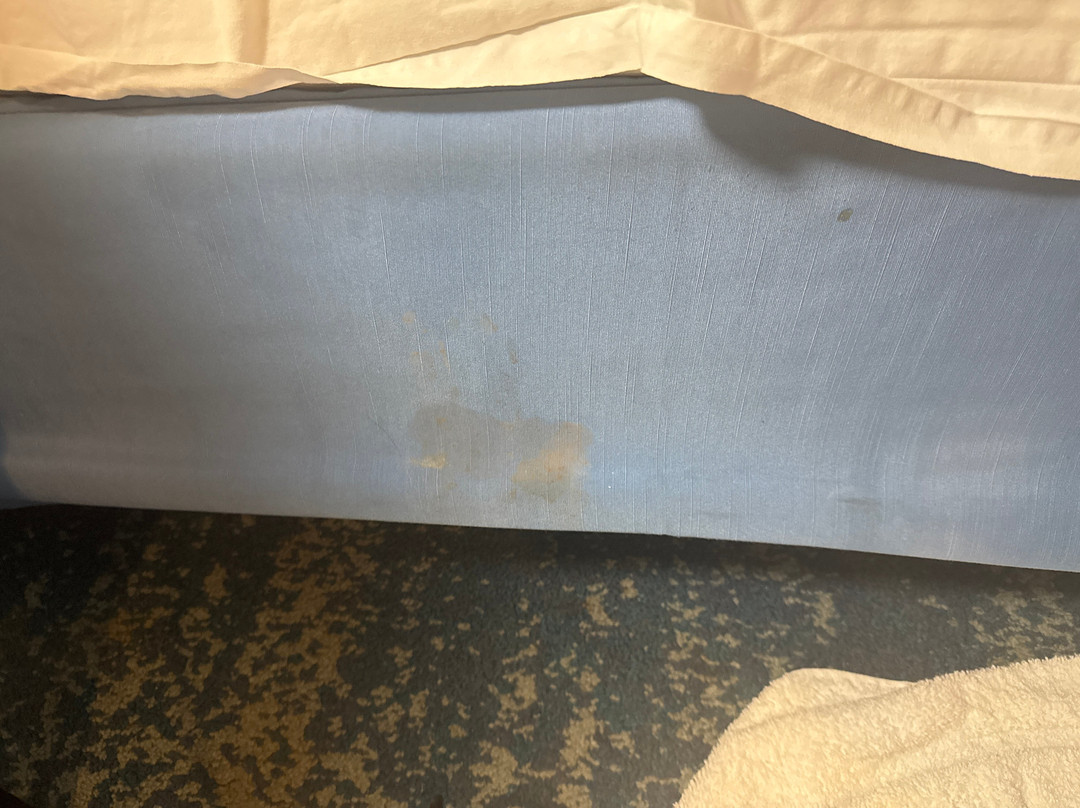 AmericInn by Wyndham Shakopee Near Canterbury Park主图