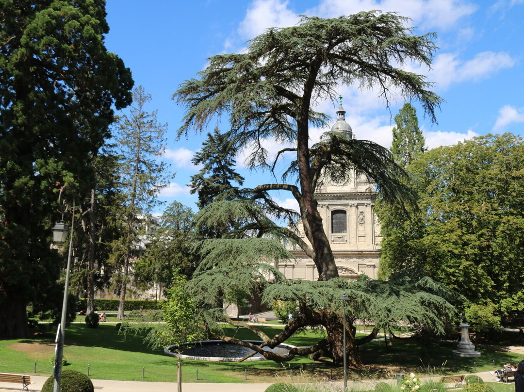 Place du Chateau-布洛瓦必去景点