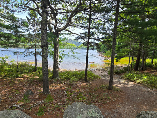 Pedego Electric Bikes Bar Harbor-巴港必去景点