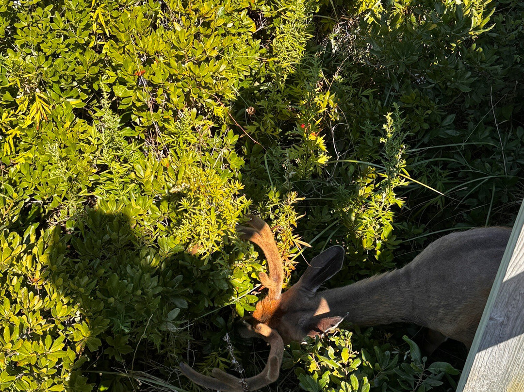 Fire Island Lighthouse-Fire Island必去景点