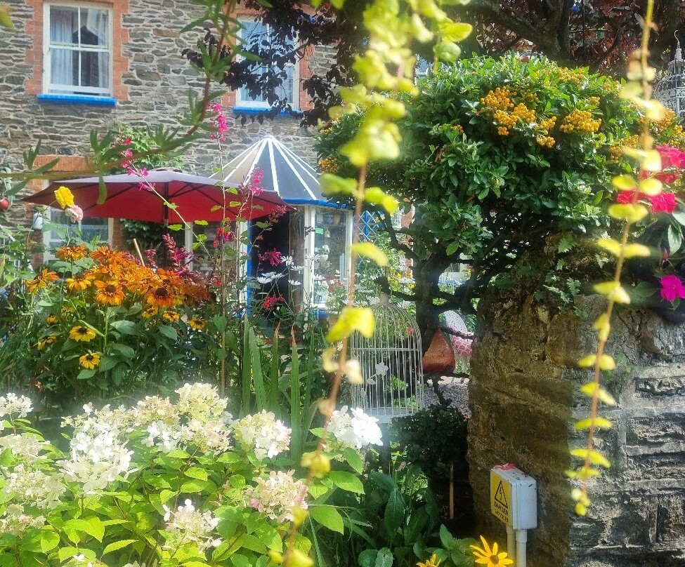 The Captain's House主图