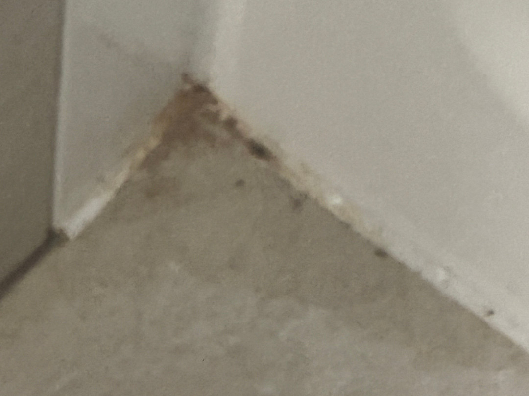 Country Inn & Suites by Radisson, Rocky Mount, NC主图