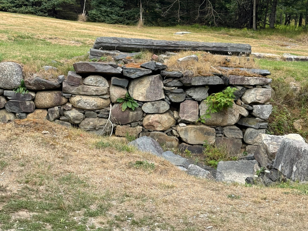 Oak Island Tour-Chester必去景点