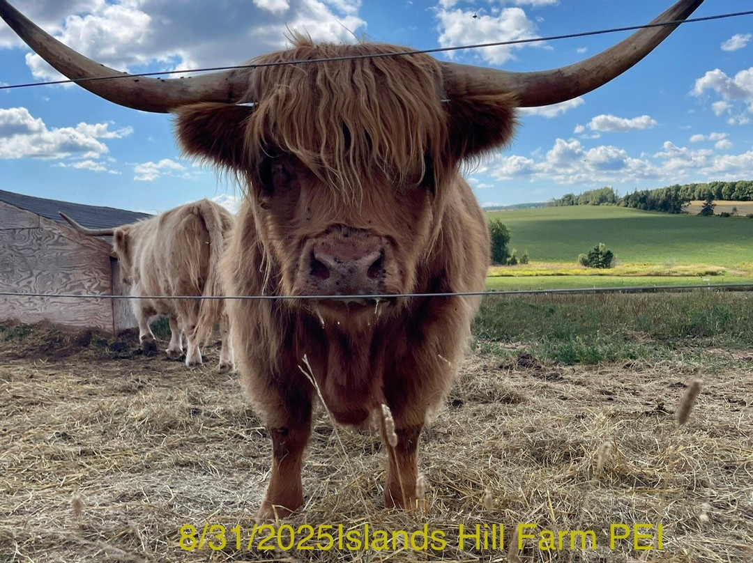 Island Hill Farm Inc-Hampshire必去景点