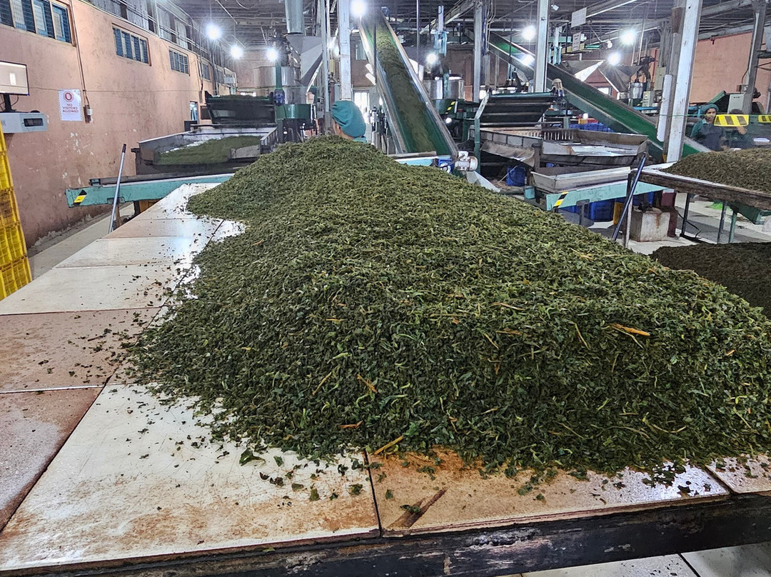 Travel Now Sri Lanka-科伦坡必去景点