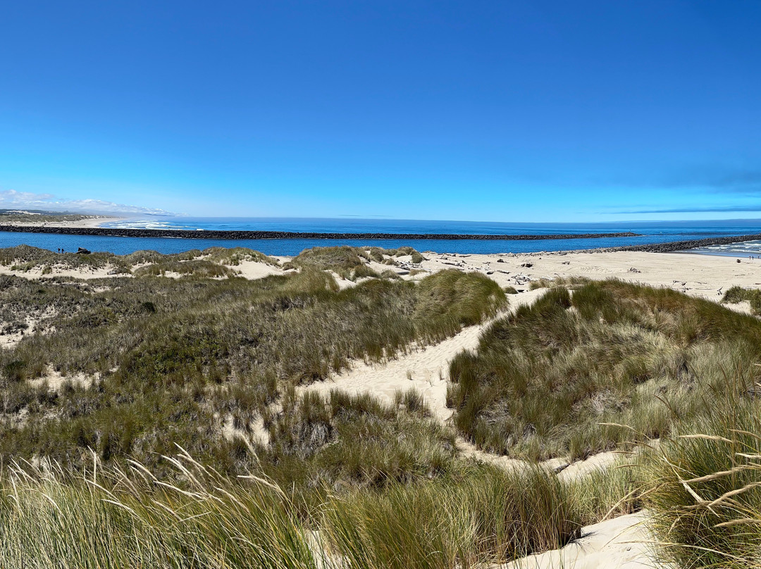 Sand Master Park - Sandboarding-弗洛伦斯必去景点