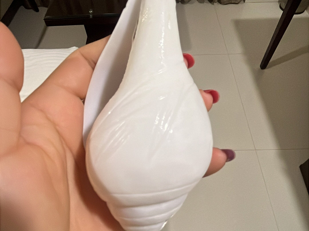 Lords Inn, Porbandar主图