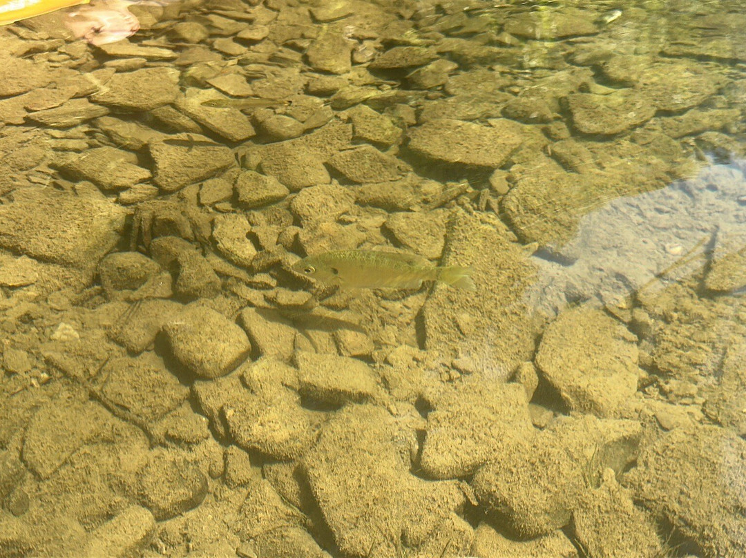 Canadice Lake Outfitters-Springwater必去景点