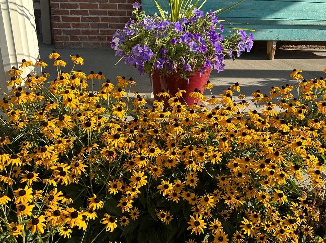 The Panguitch House主图