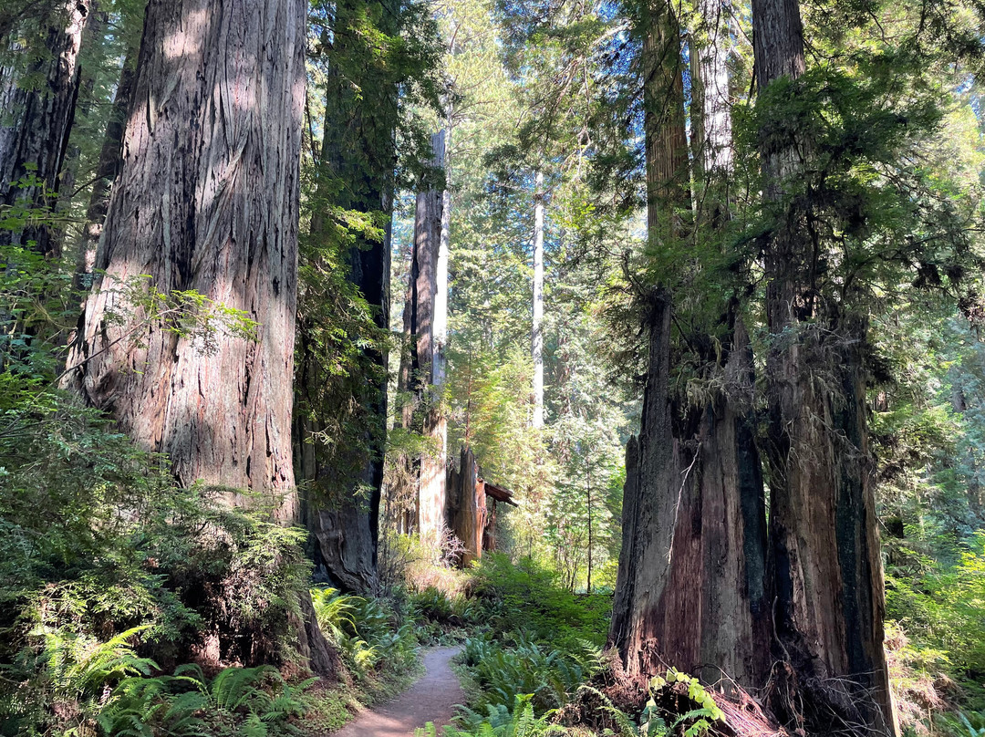 Wildtrail Tours-Arcata必去景点