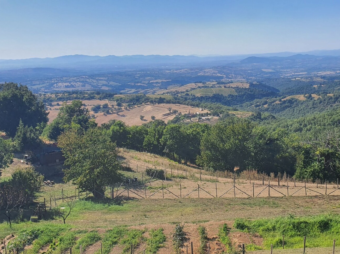 Agriturismo Podere l'Aione主图