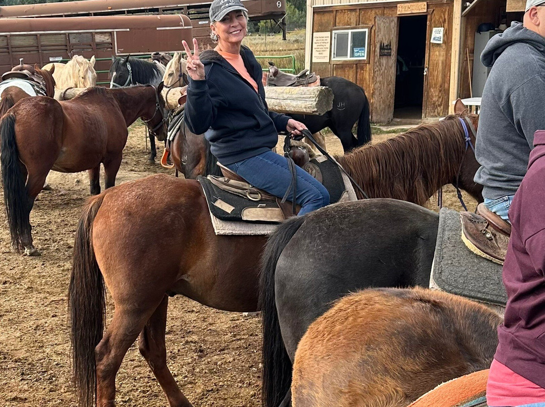 Jake's Horses-大斯凯必去景点