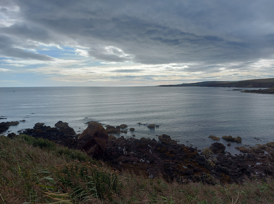 Coldingham Sands-Coldingham必去景点