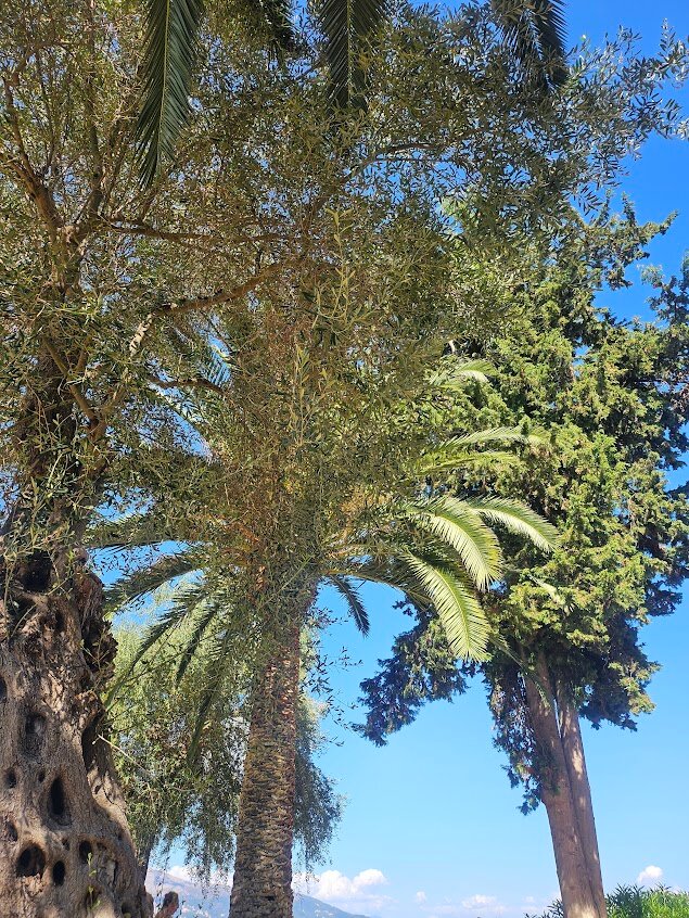 Grecotel Luxme Daphnila Bay-泳池