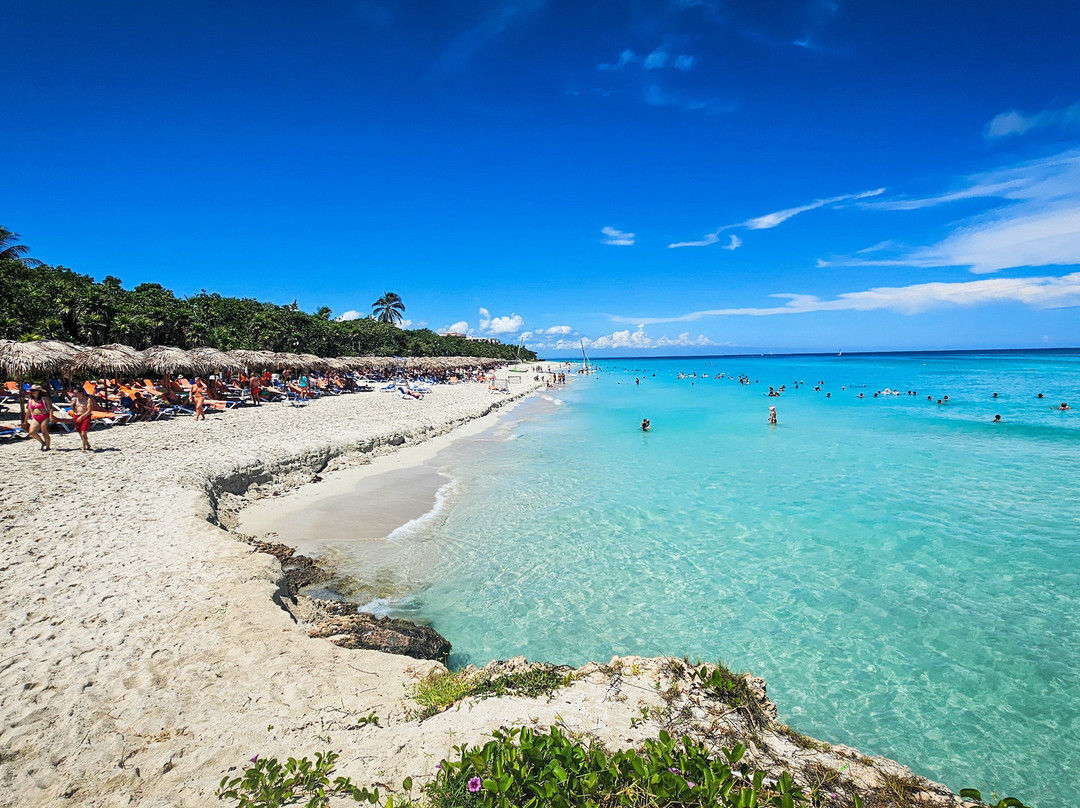 棕榈索尔酒店主图