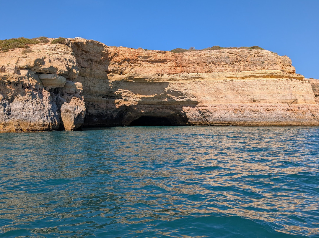 Wildwatch Algarve-费拉古多必去景点