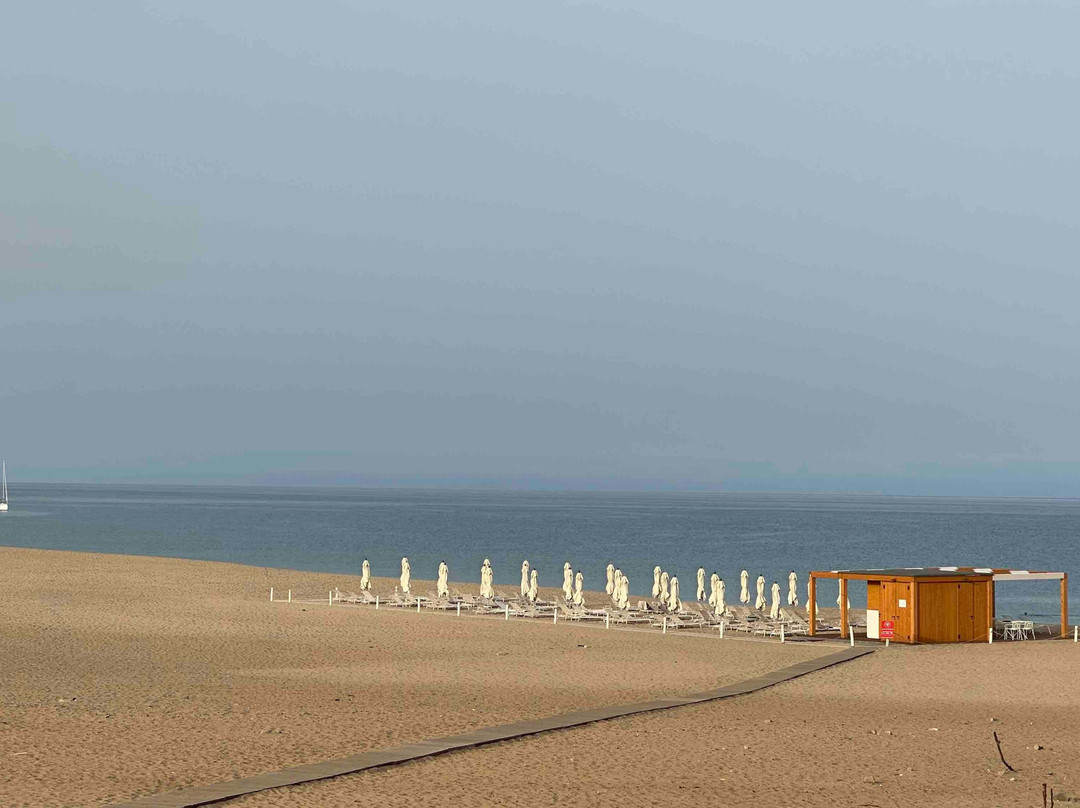 Hotel Le Dune Piscinas主图