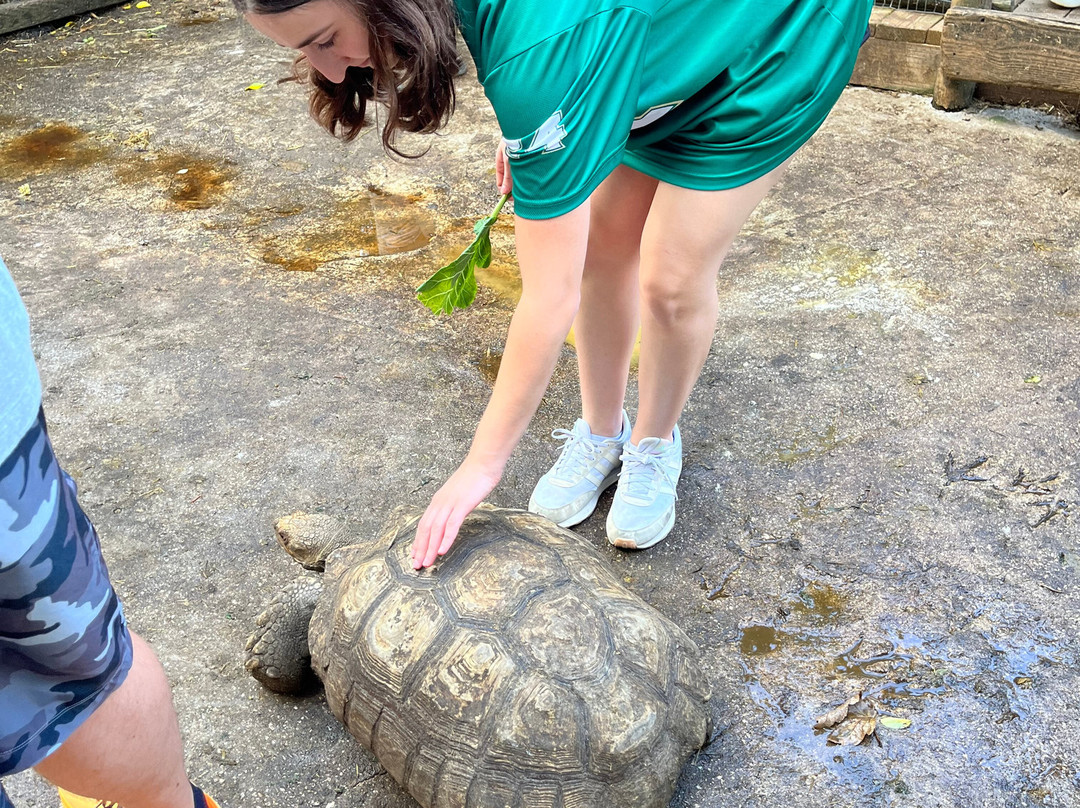 Croc Encounters-坦帕必去景点