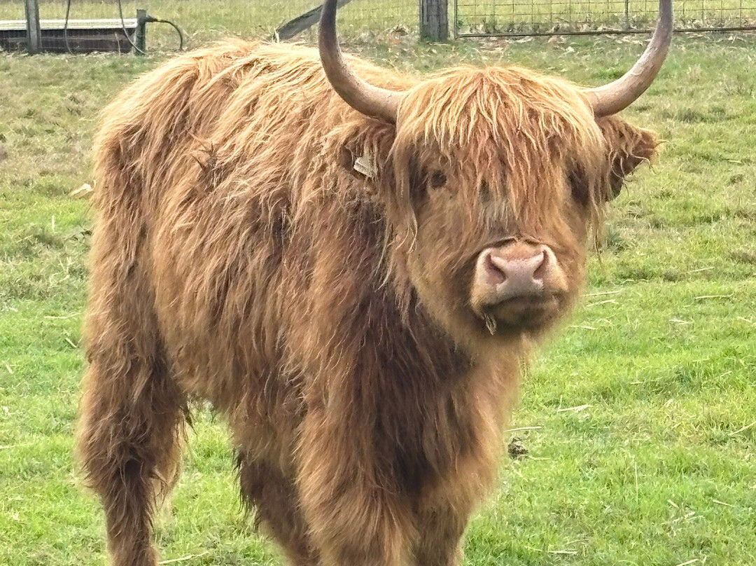 Splitters Farm-邦德堡必去景点